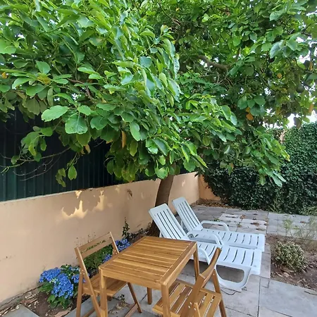 Garden House In アパート