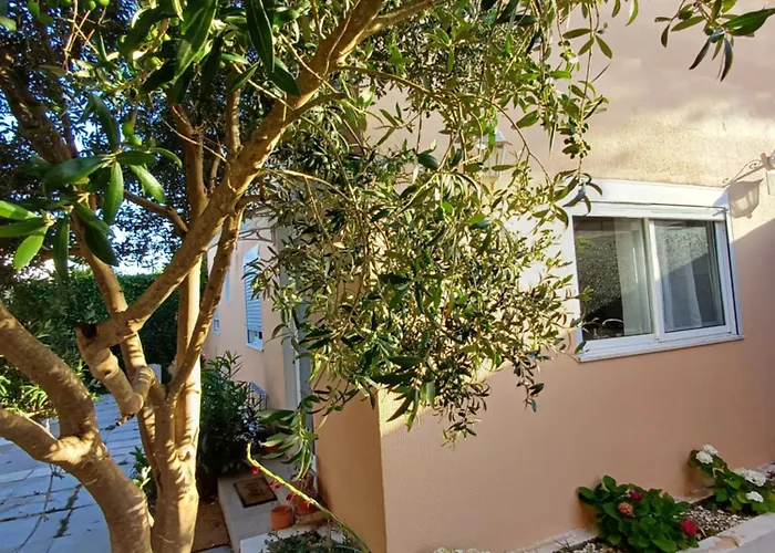 Garden House In * Cascais