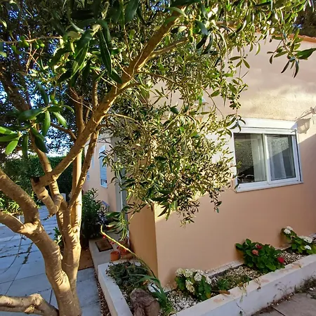 Garden House In * Cascais